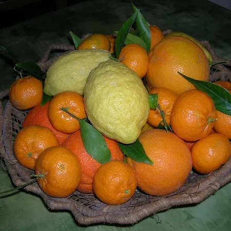 Farm stay Agriturismo Baglio Donna Santa