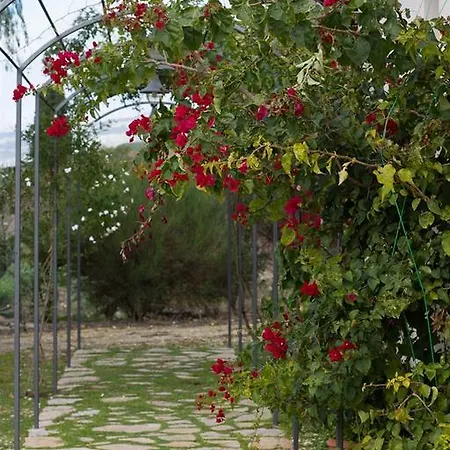 Farm stay Agriturismo Baglio Donna Santa