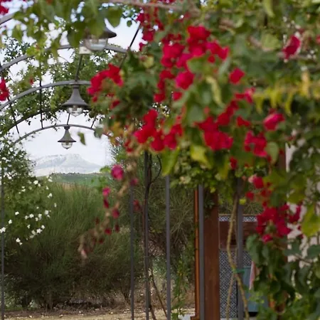 Agriturismo Baglio Donna Santa Dattilo