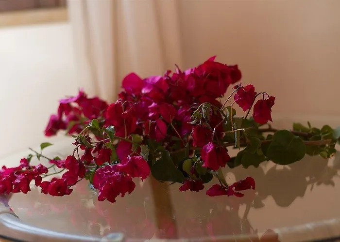 Lantgård Baglio Donna Santa Dattilo